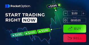 Maximize Your Trading Potential with Bonus Offers at Pocket Option